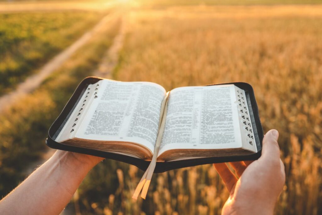 Person with arms extended over a bountiful field of wheat holding an open bible